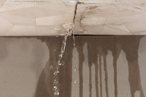 Professional Flood Damage Cleanup technician working in Lake Geneva, WI